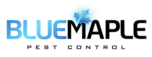 Blue Maple Pest Control